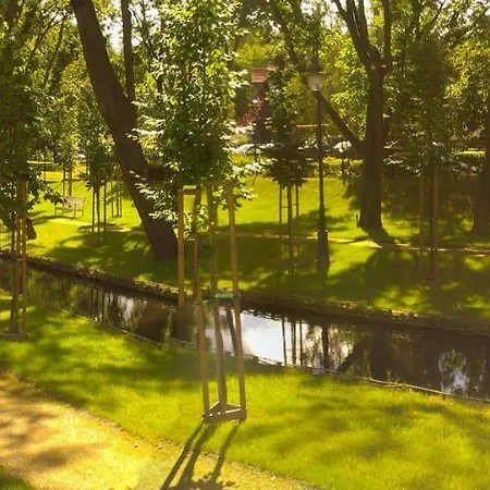 Orlowo Honey * 그디니아