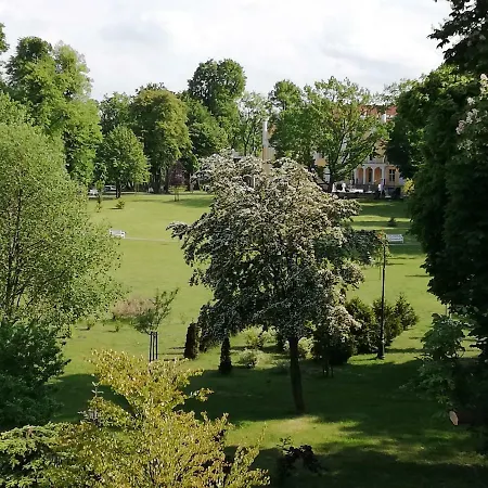 Gdynia Orlowo Honey Apartment Gdynia