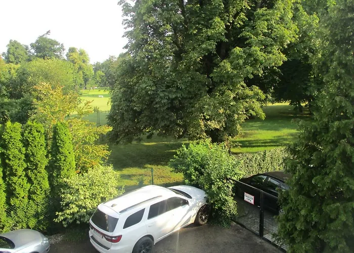 Orlowo Honey גדינייה