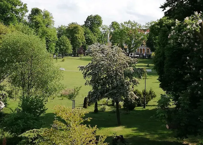 Orlowo Honey דירה גדינייה